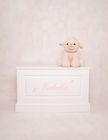 Bespoke personalised  Toy Box