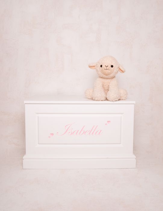 Bespoke personalised  Toy Box