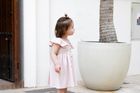Arabella Blossom Frill Sleeve Dress