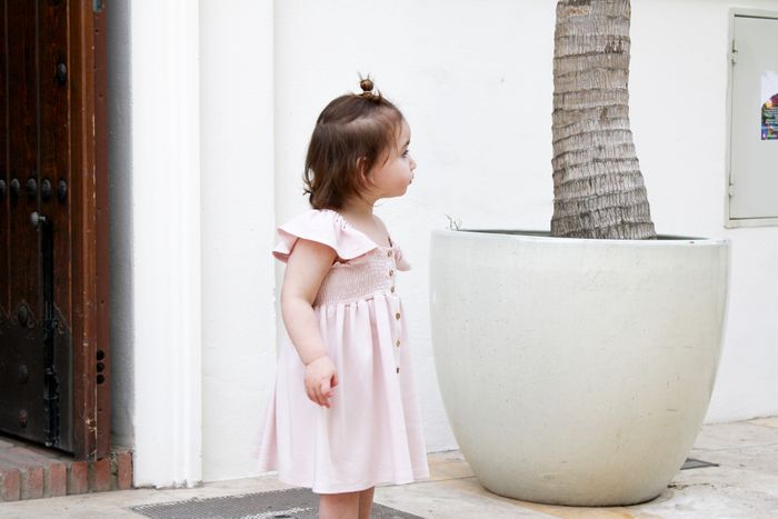Arabella Blossom Frill Sleeve Dress