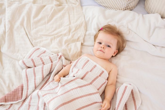 Muslin Blankets