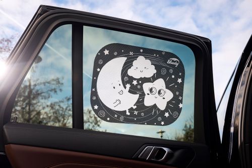 Shady Car Sunshades