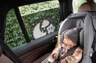 Shady Car Sunshades