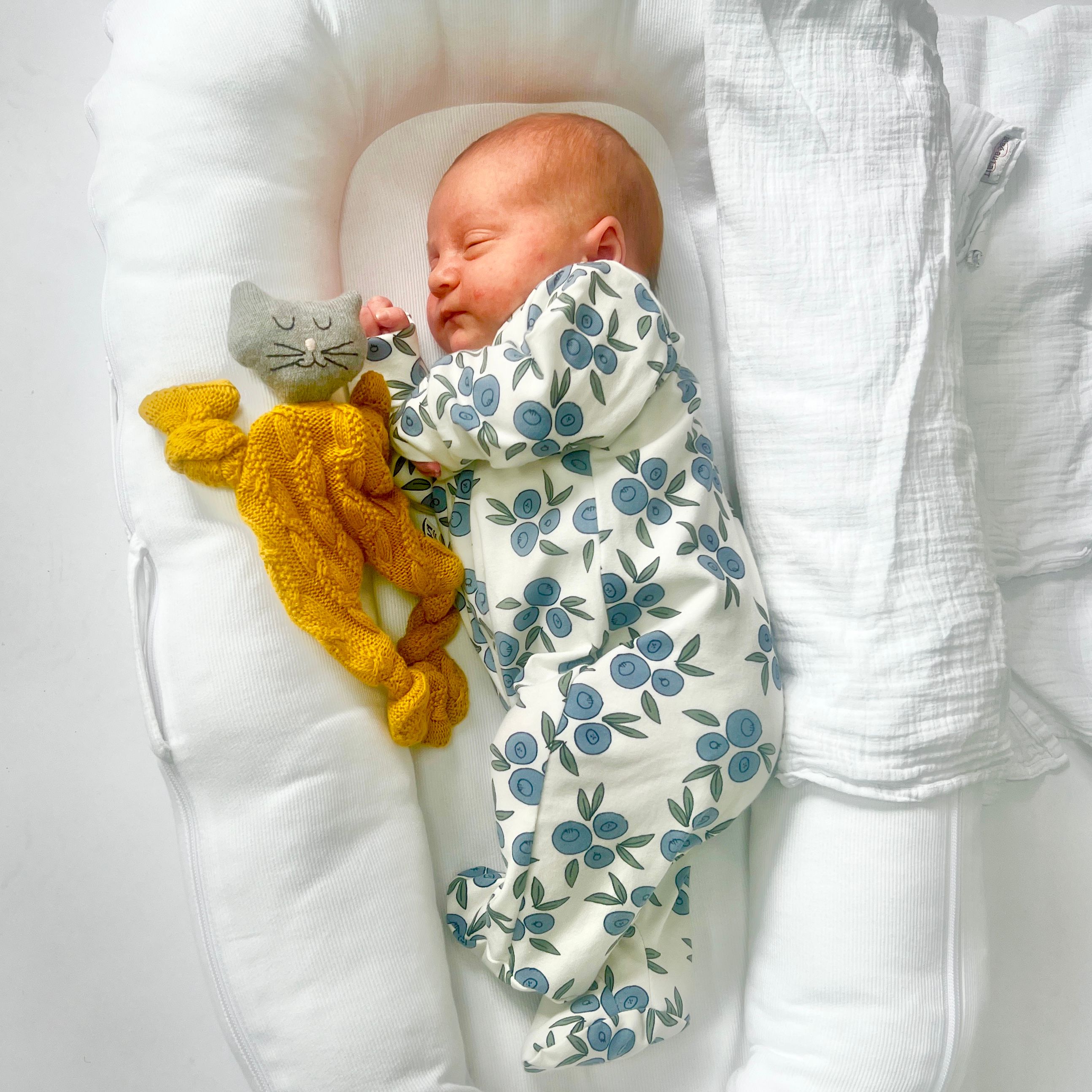 Eddie and Bee Blueberry organic cotton sleep suit
