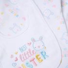 Luxury Newborn Baby Gift Set – “Best Little Sister” (NB–6 Months) - NK05