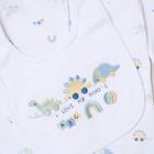 5-Piece Newborn Baby Gift Set – Dinosaur Print Sleepsuit & Bodysuit