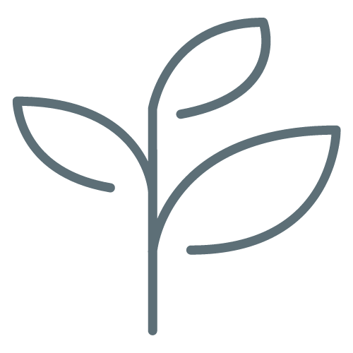 Personal Growth