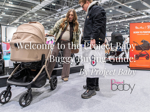 Welcome to the Project Baby Buggy Buying Guide!