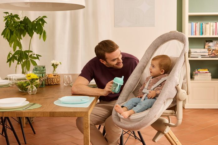 Baby Hug 4 in 1 Armonia - Scandinavian