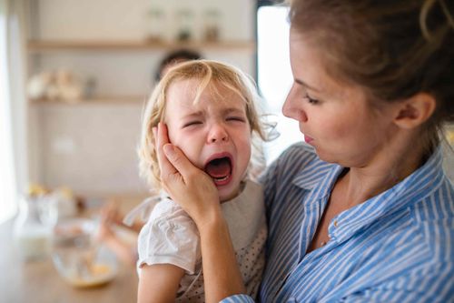 The Toddler Years- Online Course