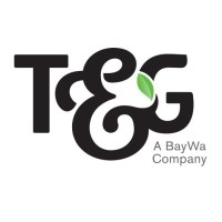 T&G Group Co. LTD