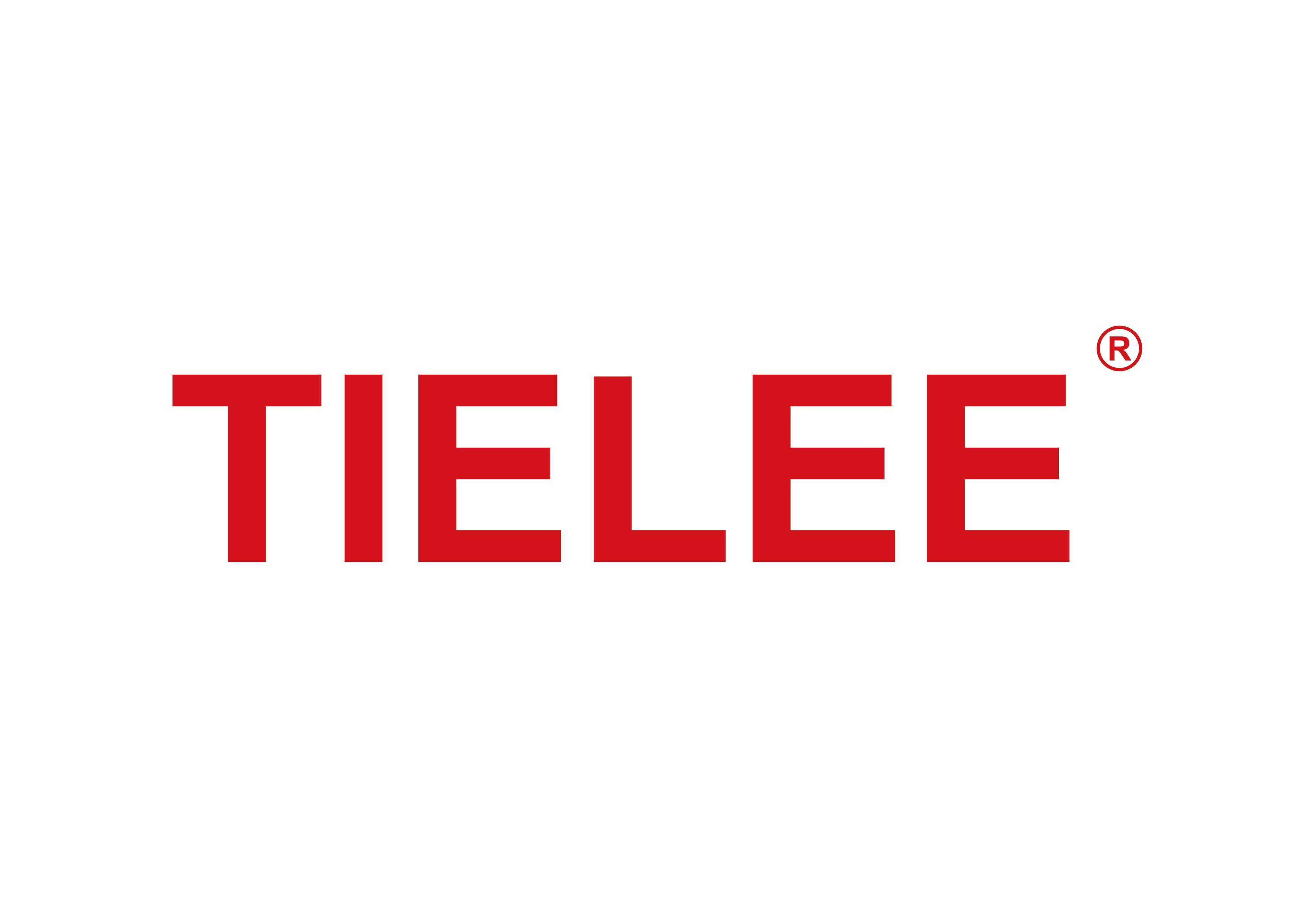 TIANLI ELECTRICAL MACHINERY (NINGBO) CO., LTD.