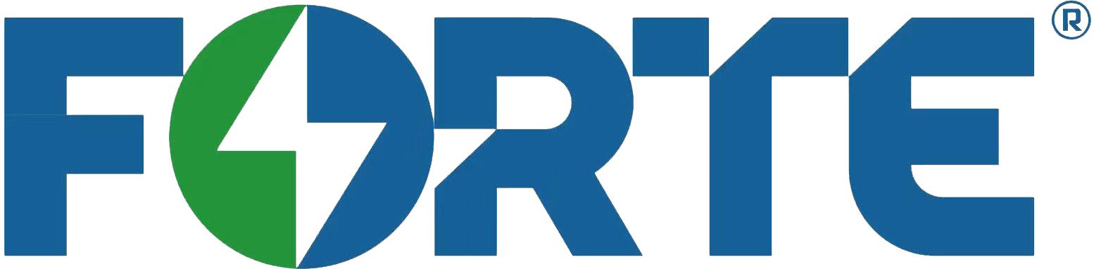 WUHAN FORTE BATTERY CO., LTD