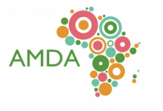 Africa Mini-Grids Developers Association