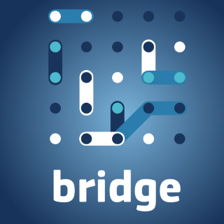 BRIDGE Initiative