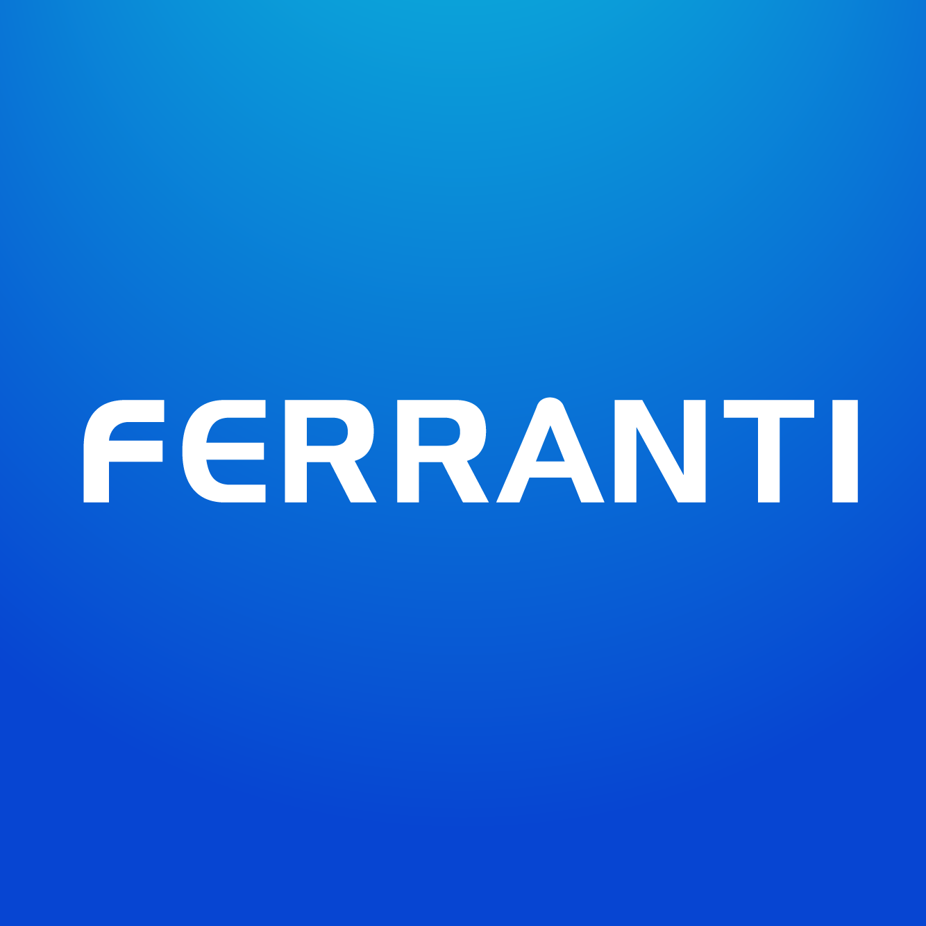 FERRANTI COMPUTER SYSTEMS