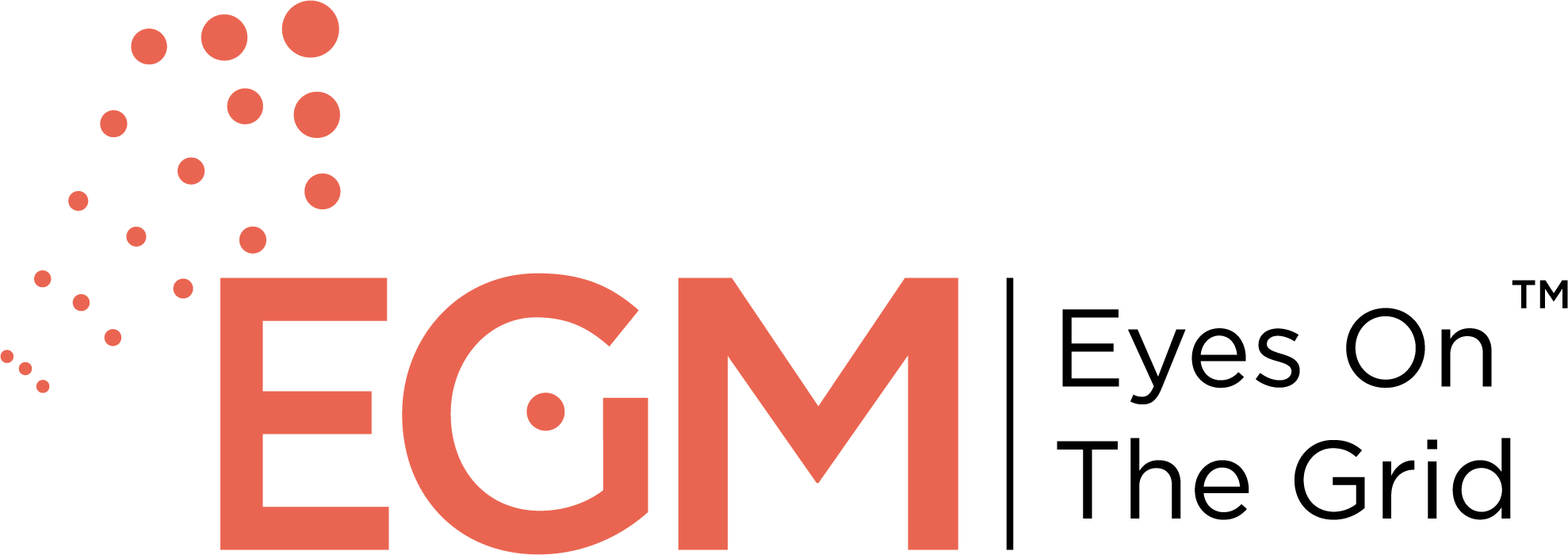 EGM – Electrical Grid Monitoring Ltd.