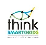 Think Smart Grids