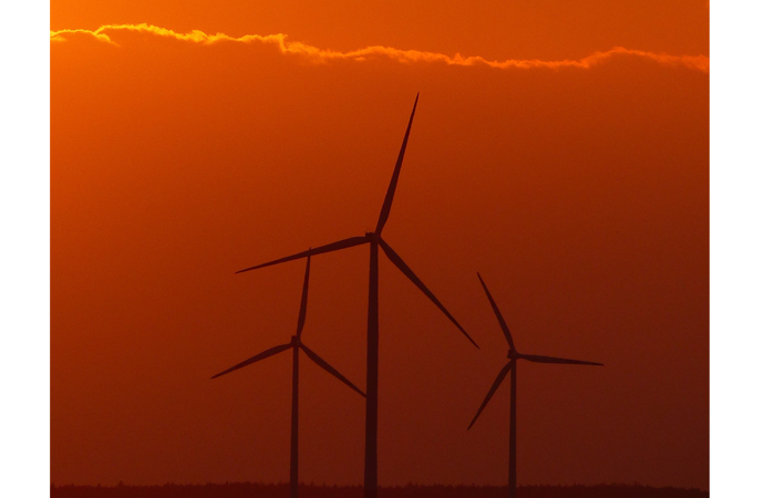 Five predictions for corporate renewables