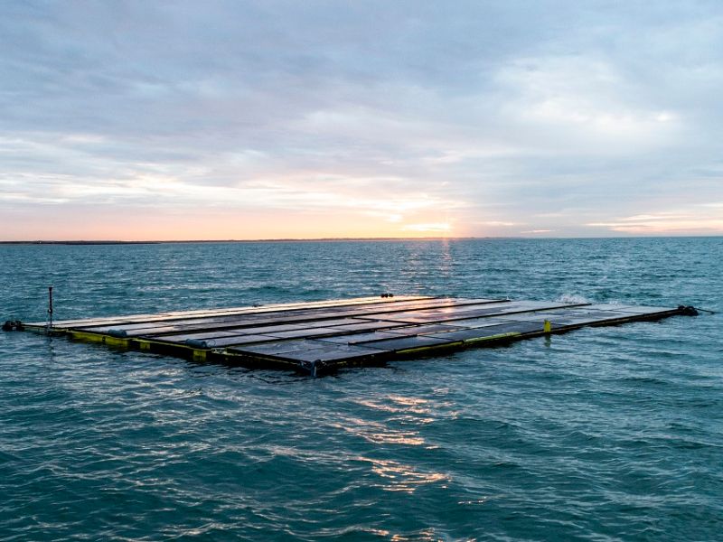 floating solar powers seaweed farming