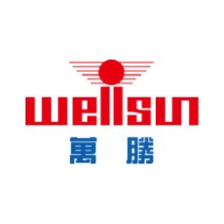 Zhejiang Wellsun Intelligent Technology