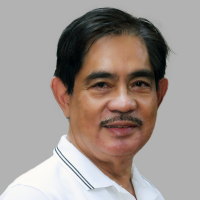 Fernando Martin Y Roxas - National Power Corporation (NAPOCOR)