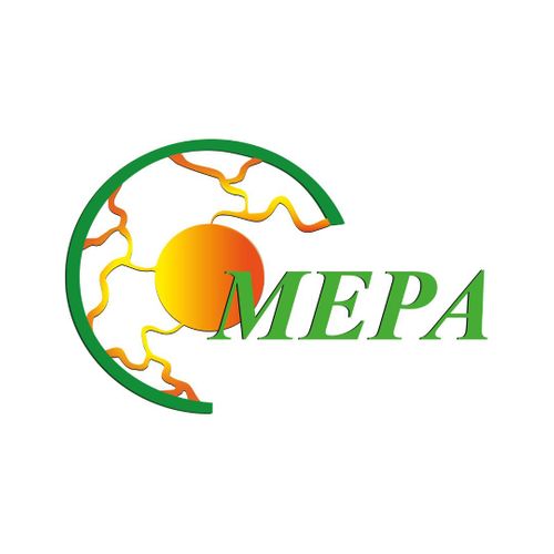 Malaysian Energy Professionals Association