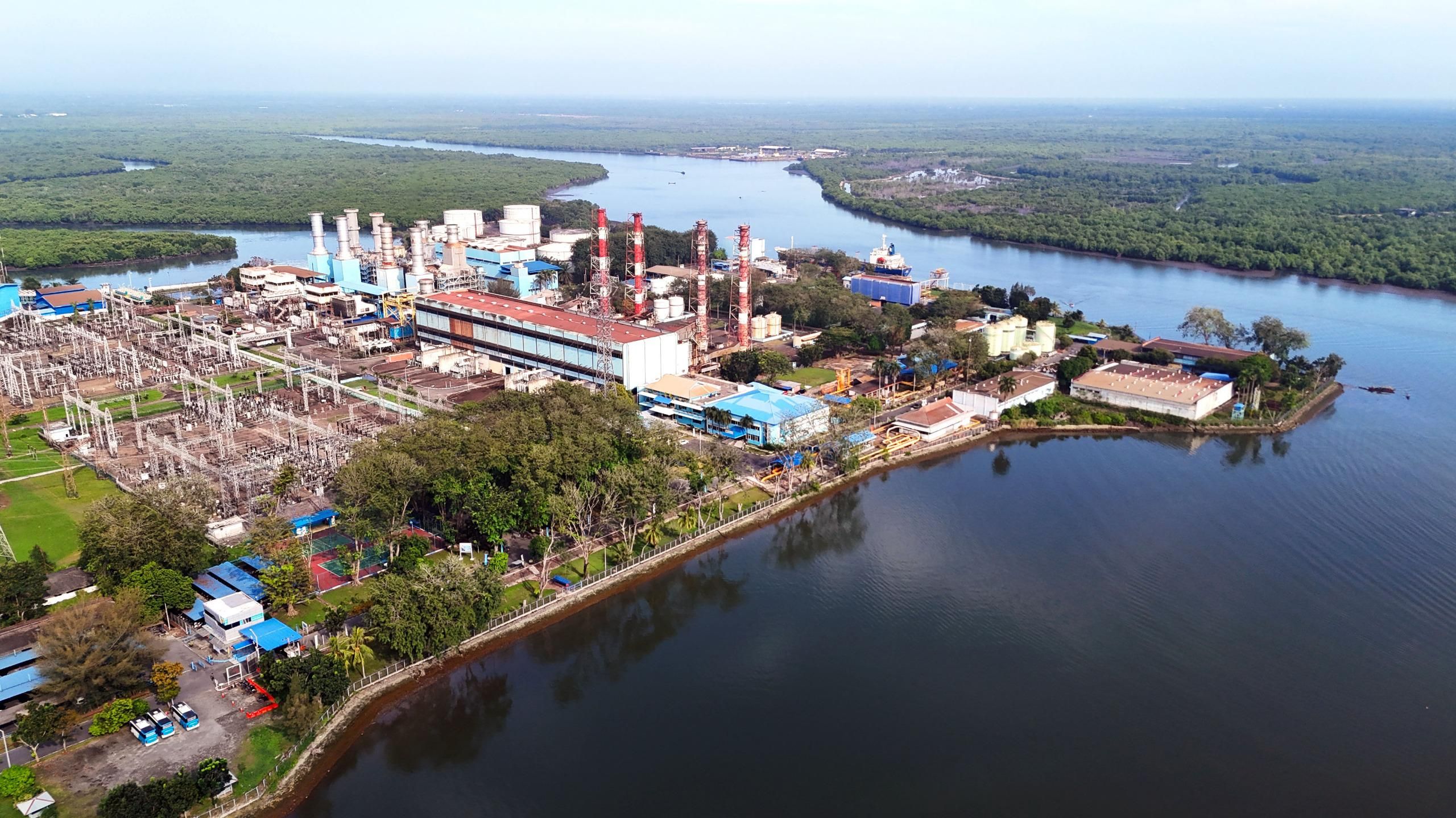 First! Palm Oil Waste Turned into Electricity: PLN's Special Gift for Indonesia's 80th Anniversary
