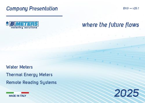 Company Presentation 2025