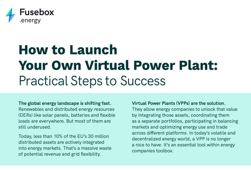 How to launch your VPP