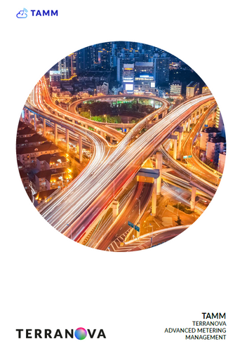 TAMM - TERRANOVA ADVANCED METERING MANAGEMENT