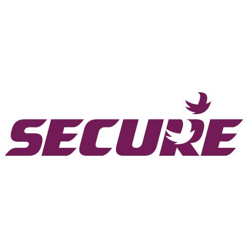 Secure Meters Limited