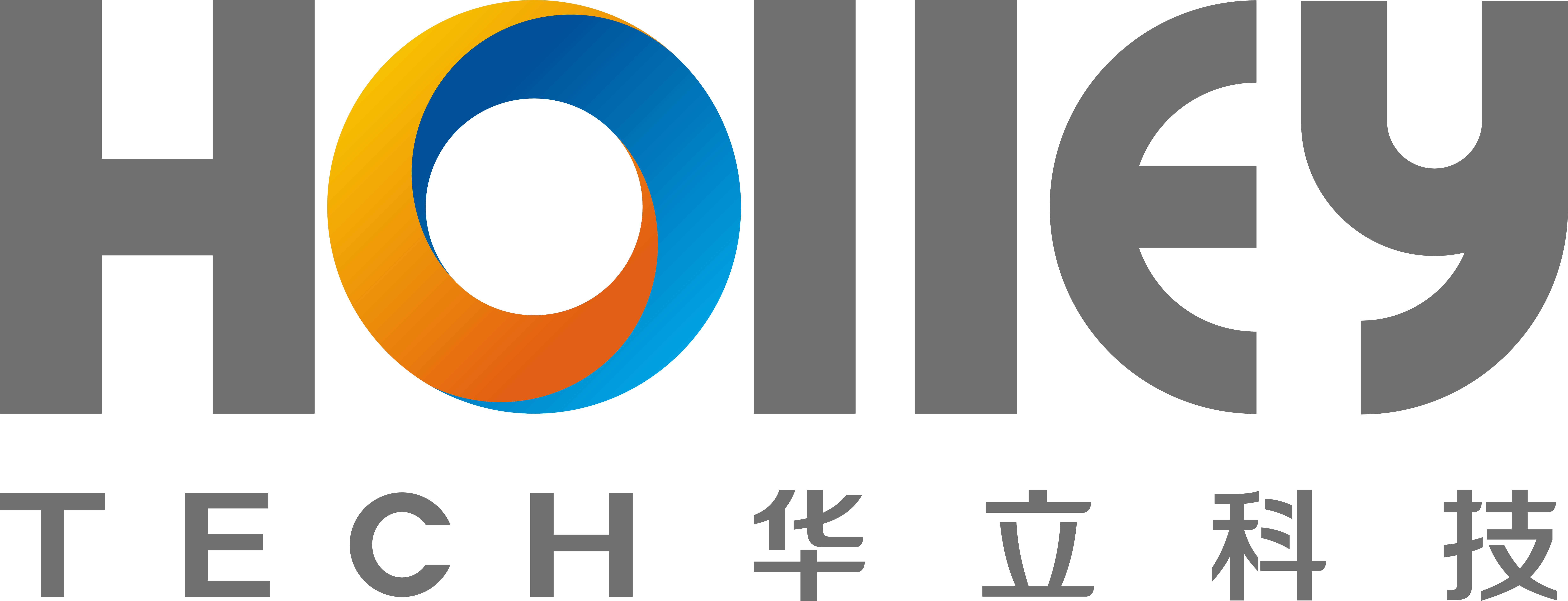 HOLLEY TECHNOLOGY LTD