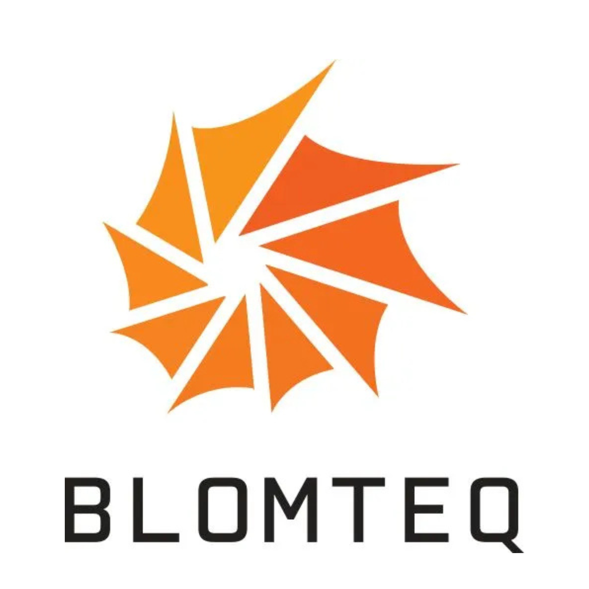 BlomTEQ Solutions Pte Ltd