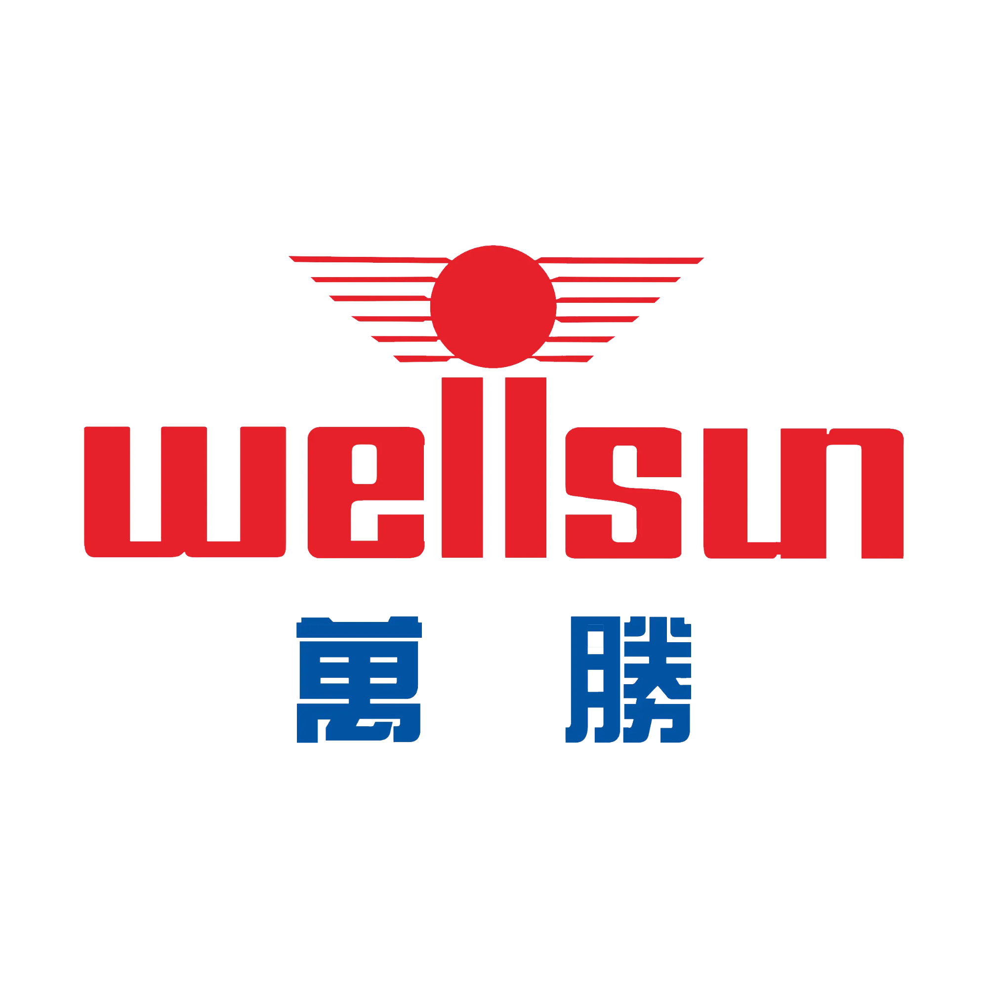 Zhejiang Wellsun Intelligent Technology Co.,Ltd