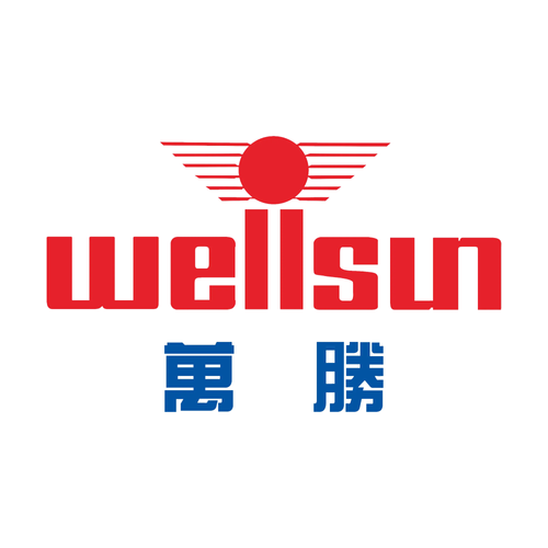 Zhejiang Wellsun Intelligent Technology Co.,Ltd