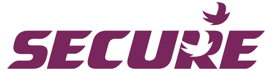 Secure Meters Limited