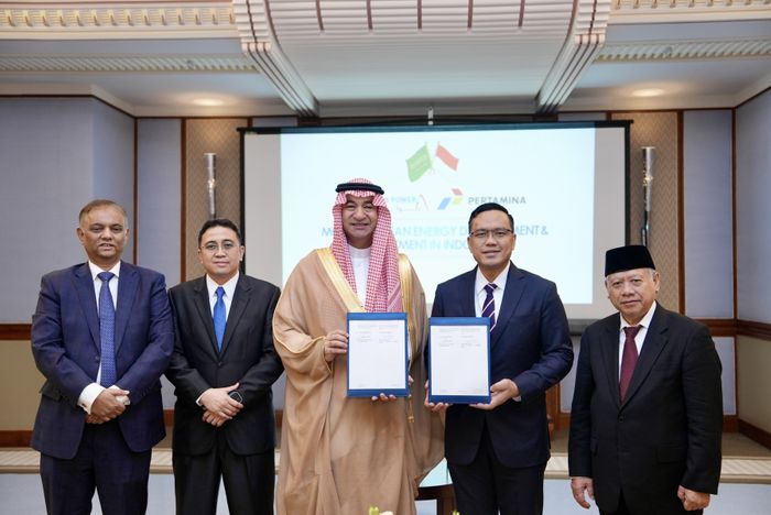 Danantara Indonesia Forges Strategic Partnership with ACWA Power to Drive Sustainable Energy Future