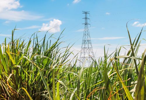 CLiP®-Pelindung Pembatas Arus