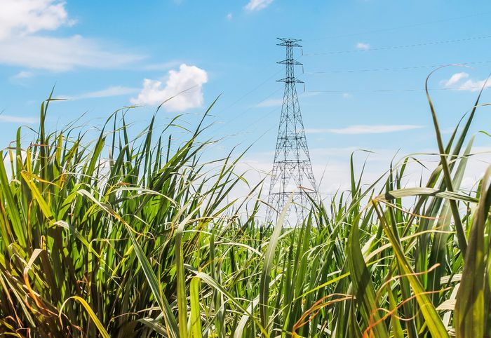 CLiP®-Current Limiting Protector