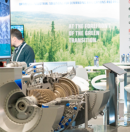 Power Generators & IPPs