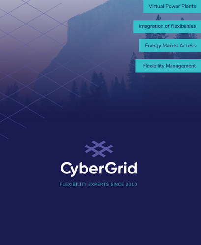 CyberGrid Brochure
