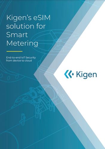 Kigen eSIM for smart meters with cellular IoT