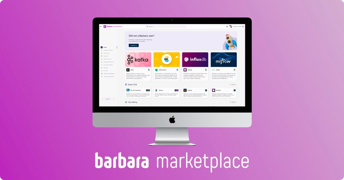 Barbara Marketplace: a one-stop shop top fast-track digital grid intelligence