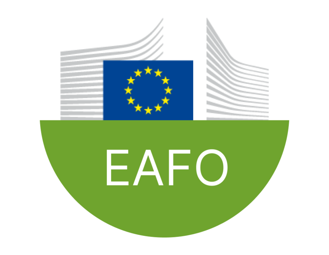 The European Alternative Fuels Observatory (EAFO)