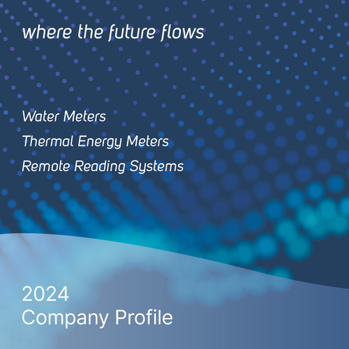 COMPANY PROFILE - 2024 / ENG