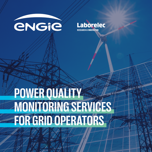 Power Quality Monitoring Services for Grids Operators