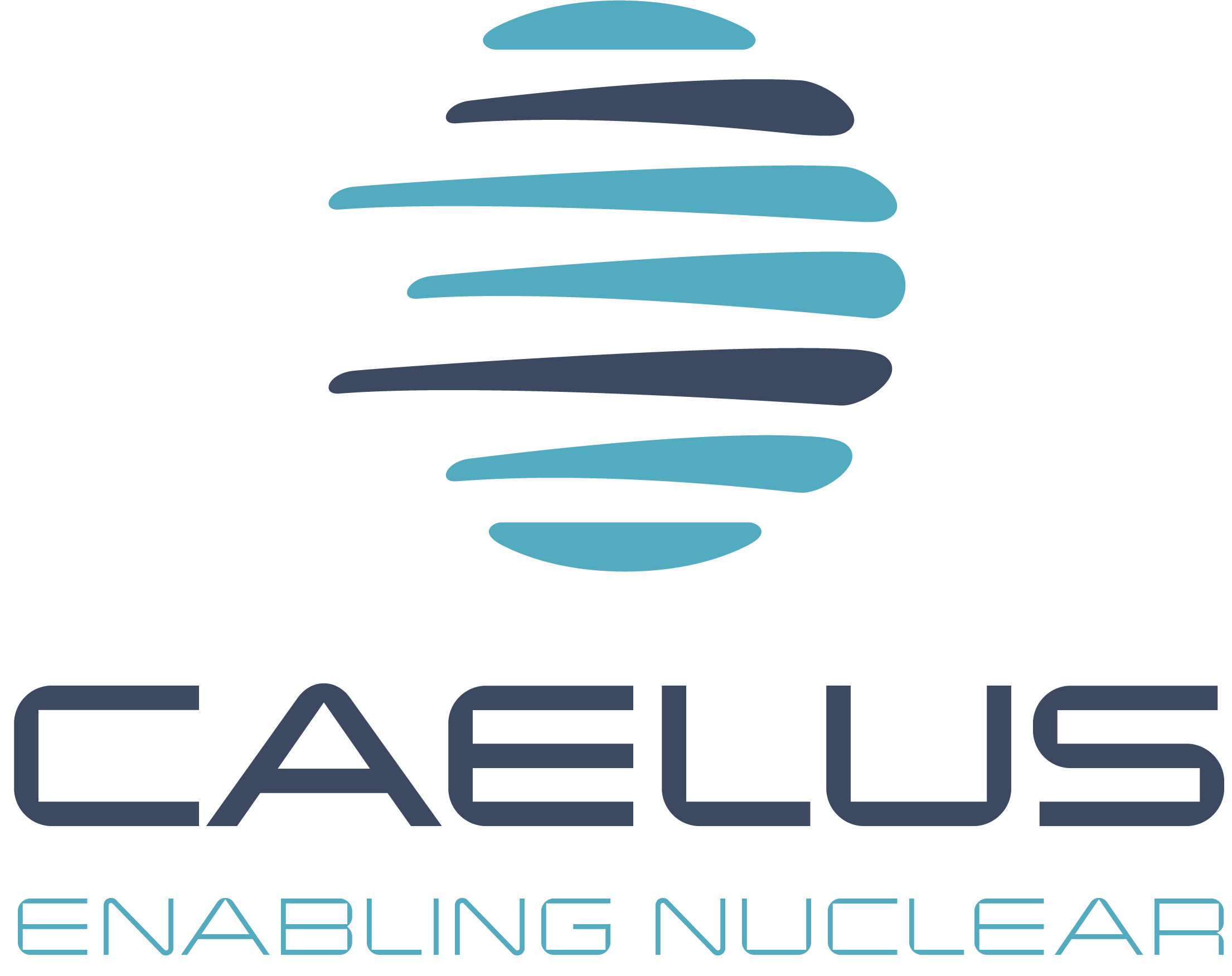 CAELUS S.R.L.