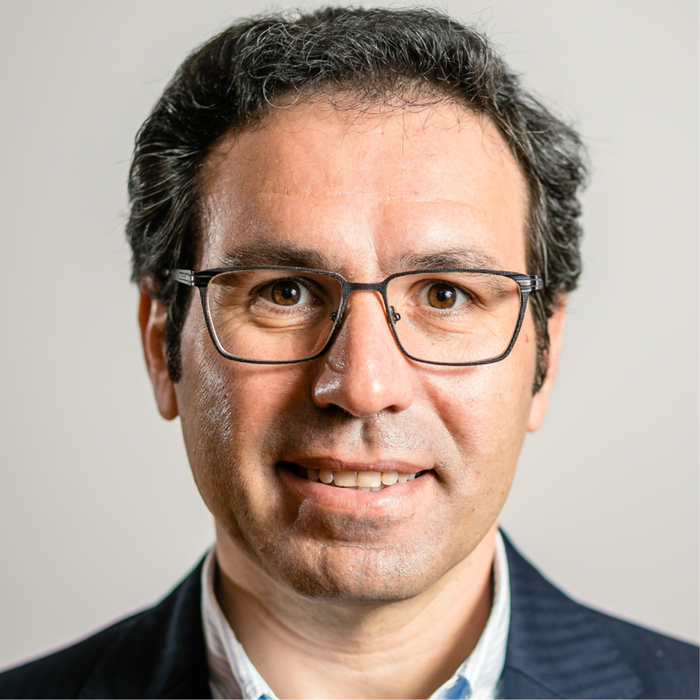 Luis Fernández