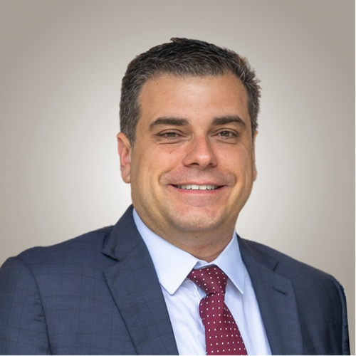 Henrique Gustavo da Costa